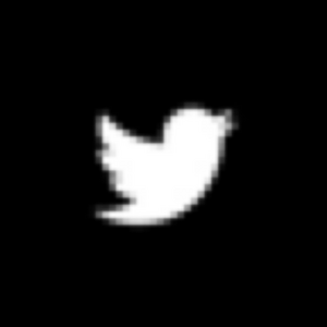 twitter-x