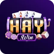haywin.hu.net