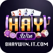 8haywin.it.com