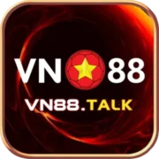 CEO VN88