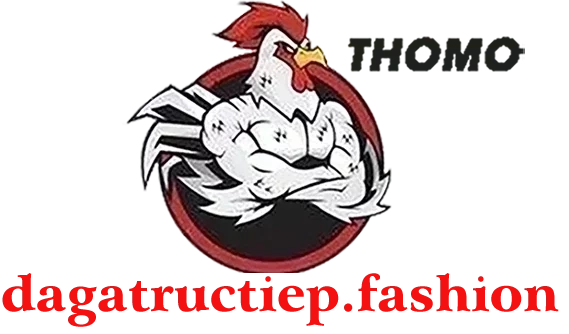 ĐÁ GÀ TRỰC TIẾP FASHION