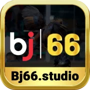 bj66