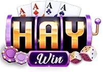 Trang chủ - haywin9.io