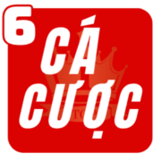 Trang Cá Cược Bóng Đá 6JPnet