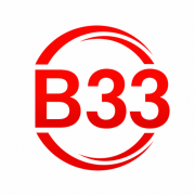 B33