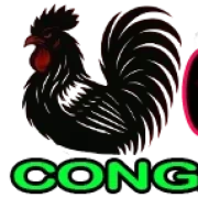 https://bibliotheekbrunssum.nl/