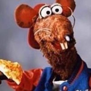 AllMyLinks profile picture for @tomjerry
