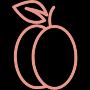 AllMyLinks profile picture for @haven
