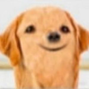 AllMyLinks profile picture for @pure