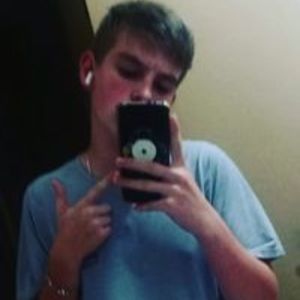 AllMyLinks profile picture for @napa