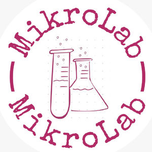 AllMyLinks profile picture for @mikrolab