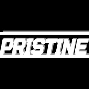 AllMyLinks profile picture for @pristine