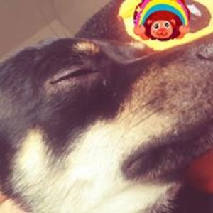 AllMyLinks profile picture for @tracy