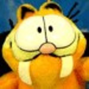AllMyLinks profile picture for @backbone