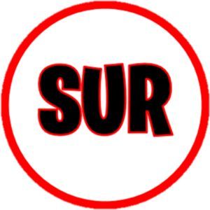 AllMyLinks profile picture for @sur