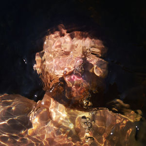 AllMyLinks profile picture for @omni