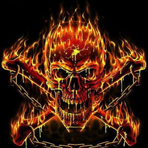 AllMyLinks profile picture for @troll