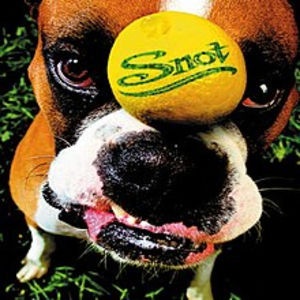 AllMyLinks profile picture for @snot