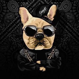 AllMyLinks profile picture for @rafazim