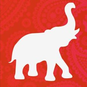 AllMyLinks profile picture for @delhi