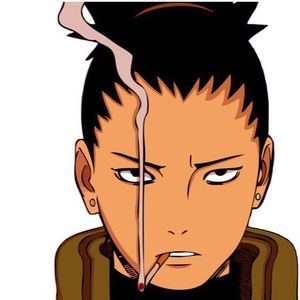 AllMyLinks profile picture for @input