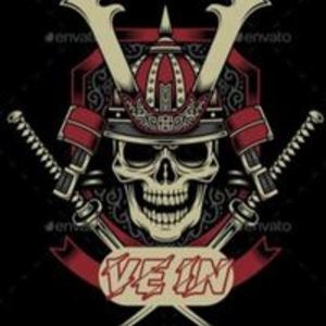 AllMyLinks profile picture for @vein