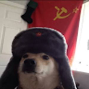 AllMyLinks profile picture for @peer