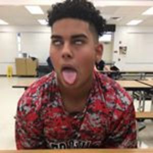 AllMyLinks profile picture for @martinez