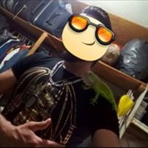 AllMyLinks profile picture for @solid