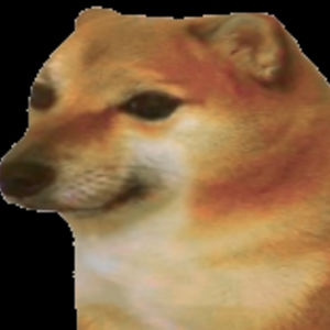 AllMyLinks profile picture for @follow