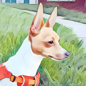 AllMyLinks profile picture for @copper