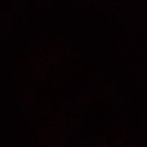 AllMyLinks profile picture for @prospect