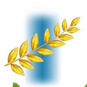 AllMyLinks profile picture for @contacts
