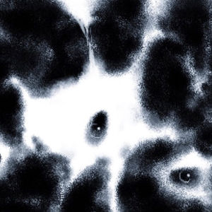 AllMyLinks profile picture for @story
