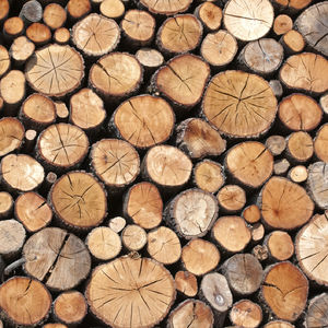 AllMyLinks profile picture for @woodworking