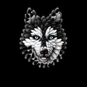 AllMyLinks profile picture for @mon